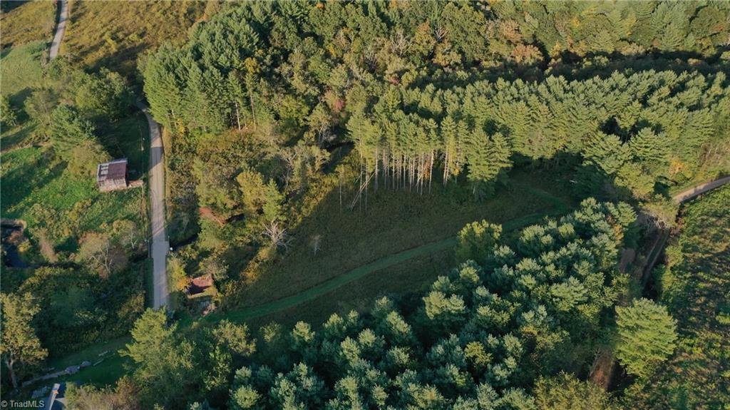 0 Piney Post Office Road Sparta, NC 28675 - Photo 5 of 9 Gallery Image 5