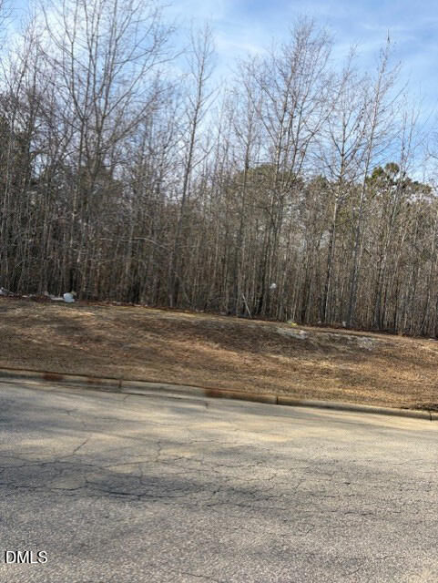 206 Hope Street Erwin, NC 28339 - Photo 5 of 10