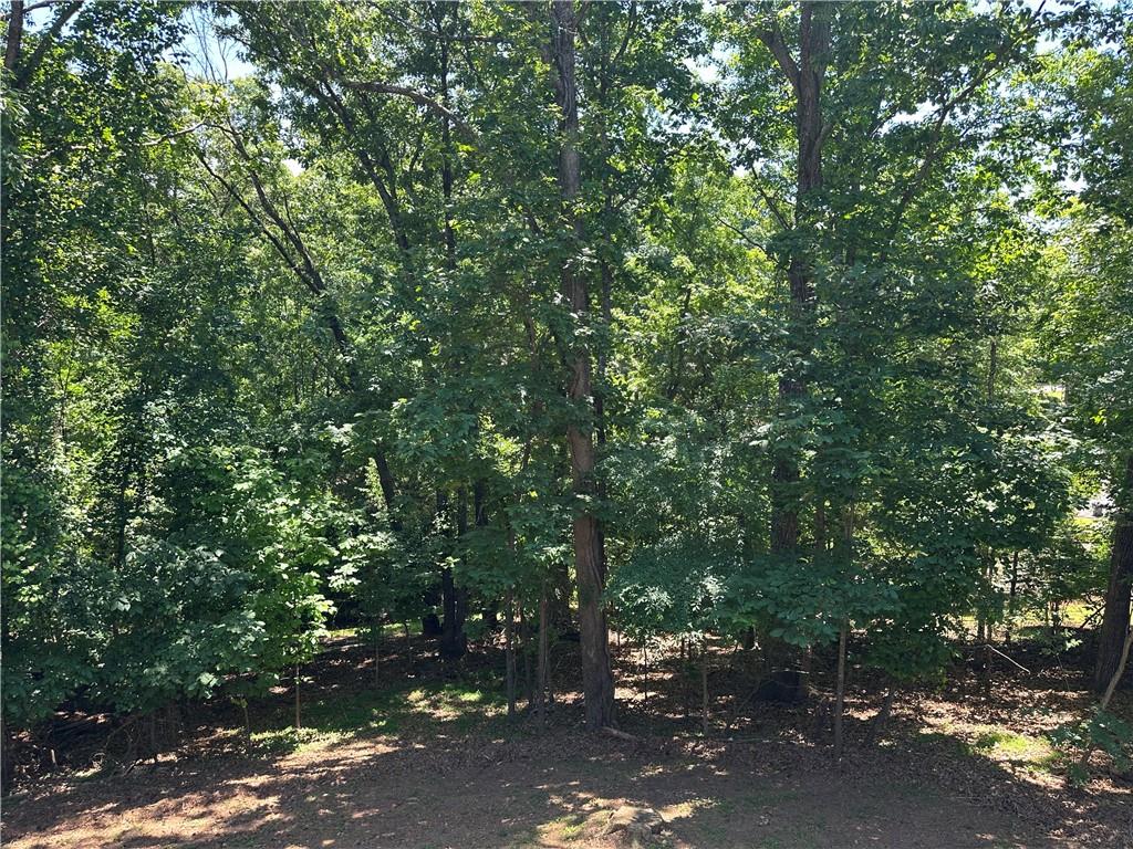 3305 Maple Ridge Court Suwanee, GA 30024 - Photo 33 of 33 a view of outdoor space and yard