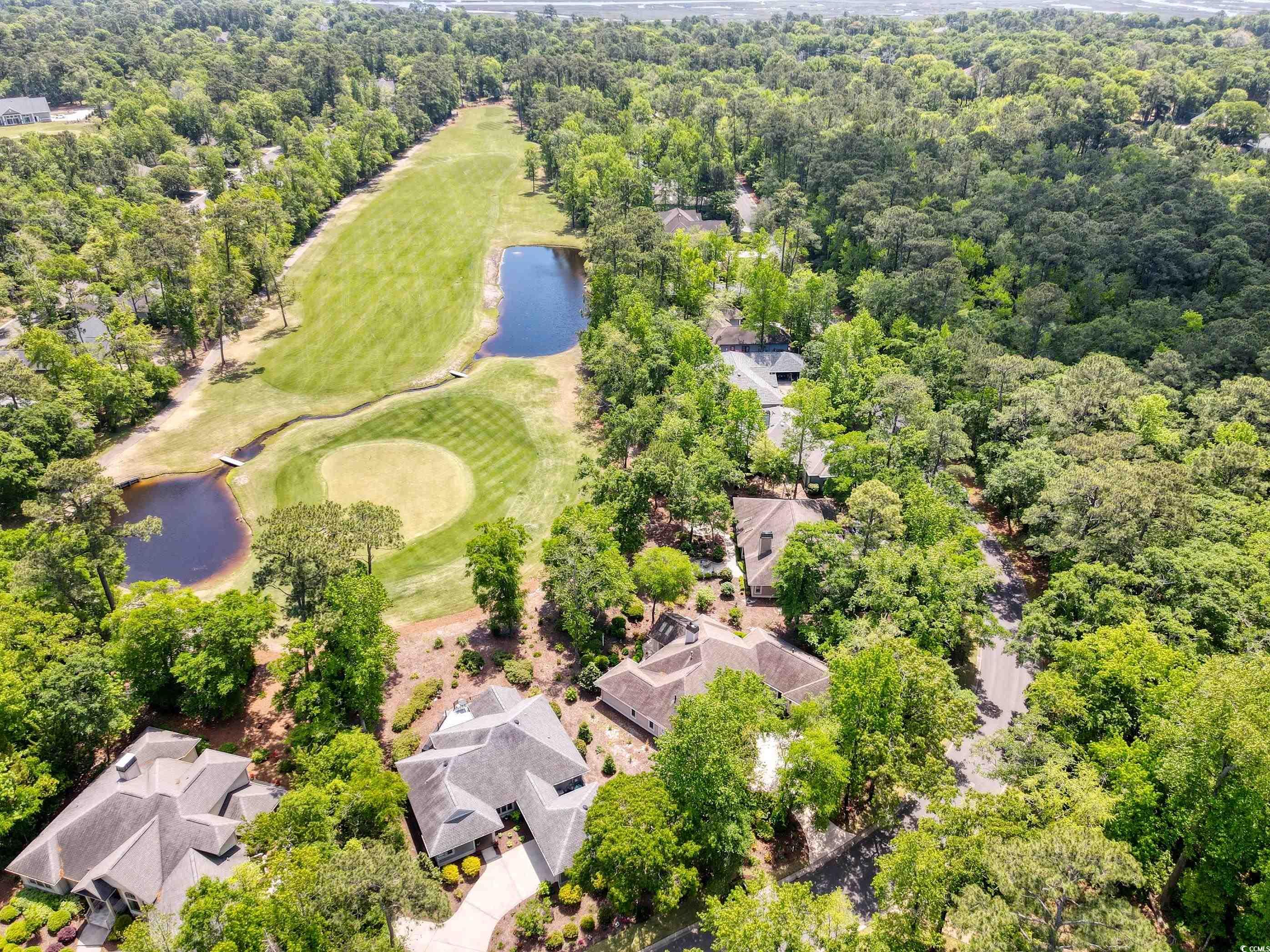 1239 Pine Valley Road North Myrtle Beach, SC 29582 - Photo 2 of 40 Gallery Image 2