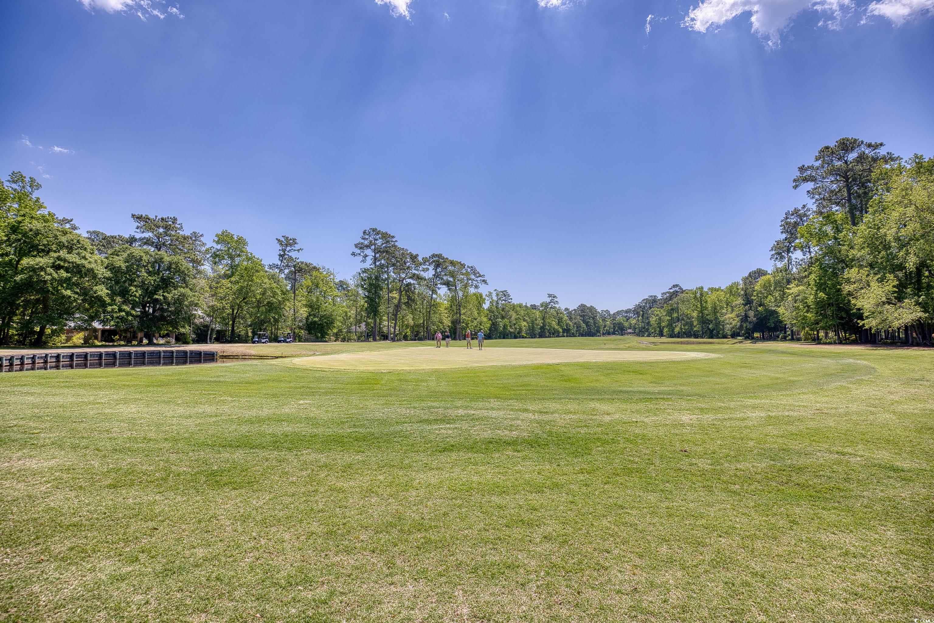 1239 Pine Valley Road North Myrtle Beach, SC 29582 - Photo 36 of 40 Gallery Image 36