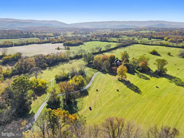 a view of a yard in front of house
