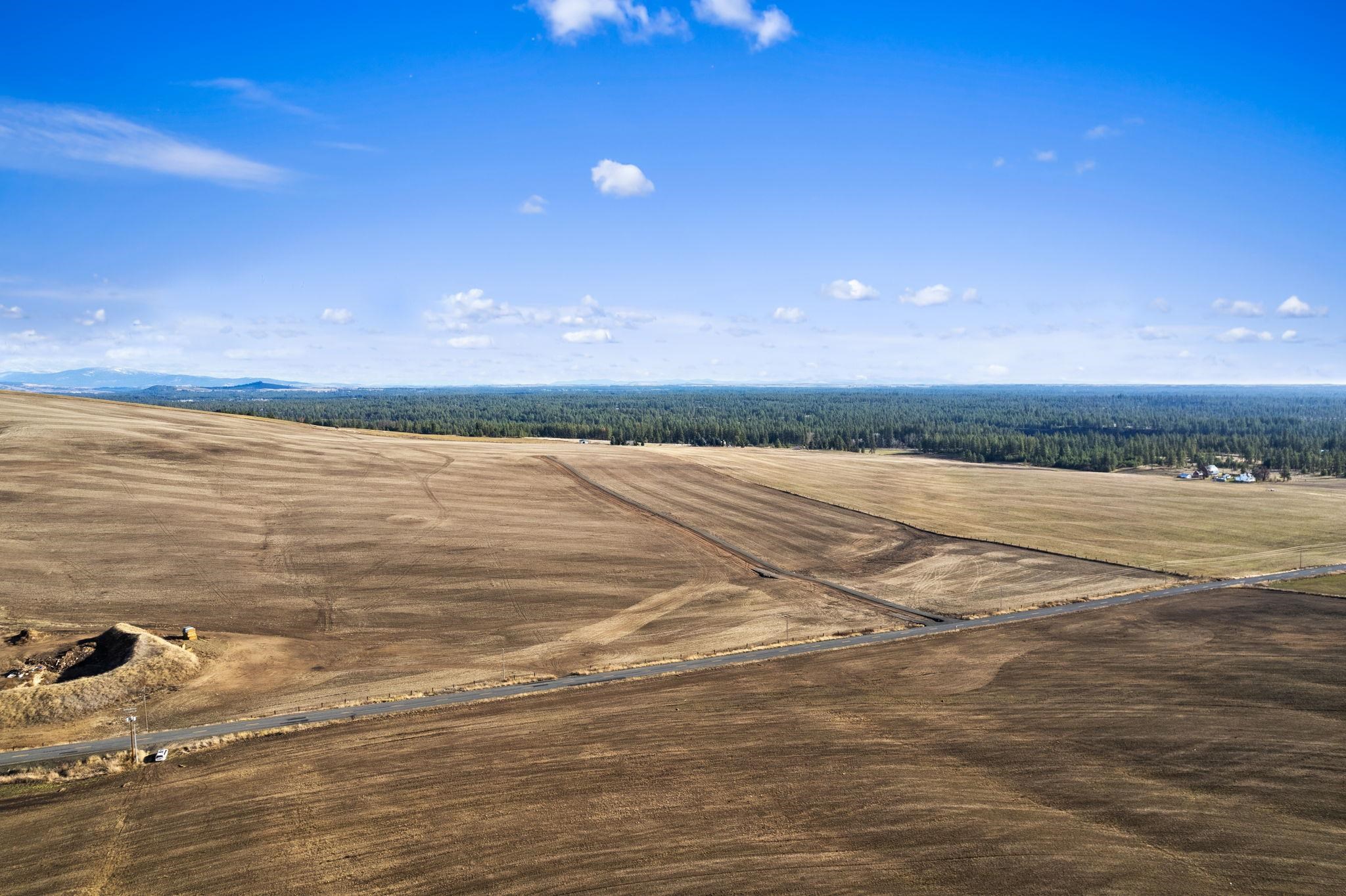 15275 South Andrus Road, Unit LOT #1 Cheney, WA 99004 - Photo 6 of 18