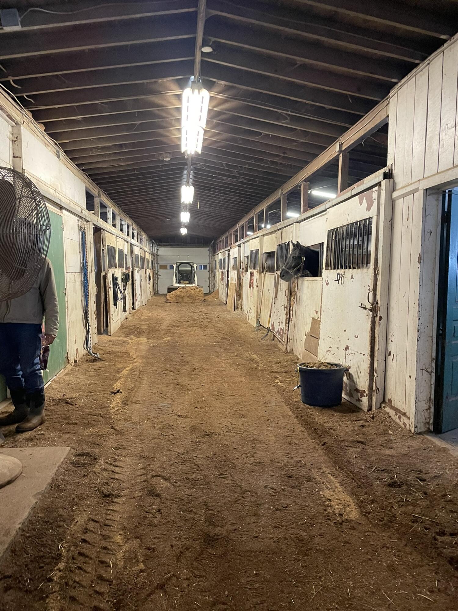 5105 Turtle Pointe Drive Ann Arbor, MI 48105 - Photo 78 of 79 IMG_5369