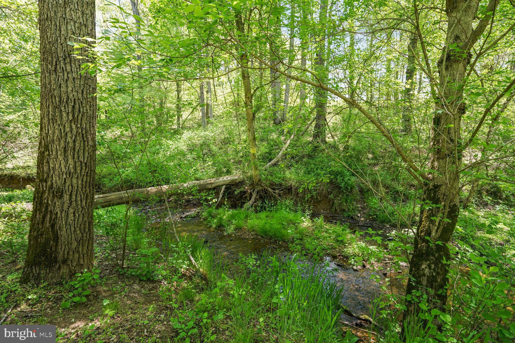 20820 Beaverdam Bridge Road Middleburg, VA 20117 - Photo 11 of 30