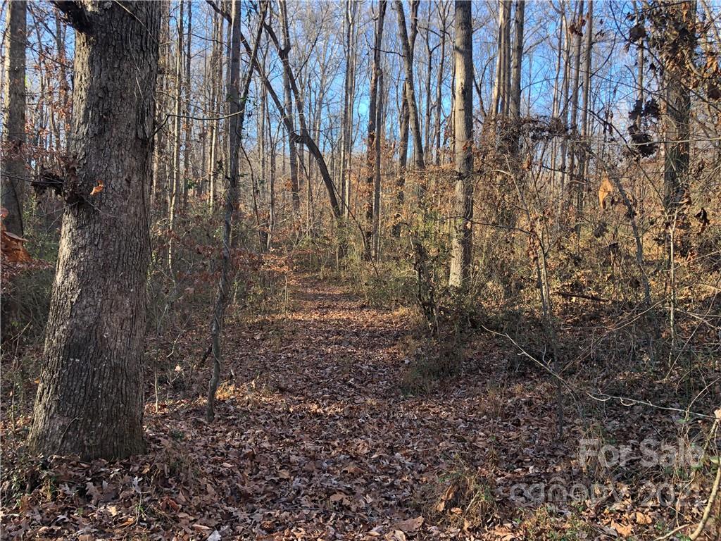 0 Stony Point School Road Stony Point, NC 28678 - Photo 20 of 45 Gallery Image 20