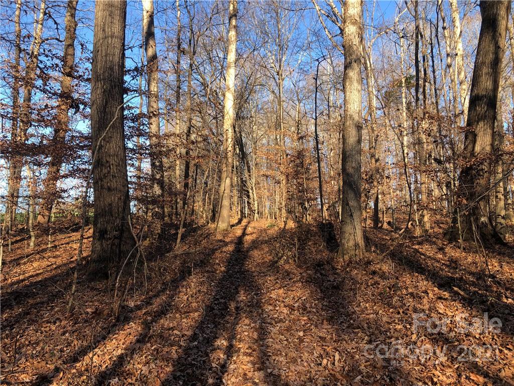 0 Stony Point School Road Stony Point, NC 28678 - Photo 21 of 45 Gallery Image 21