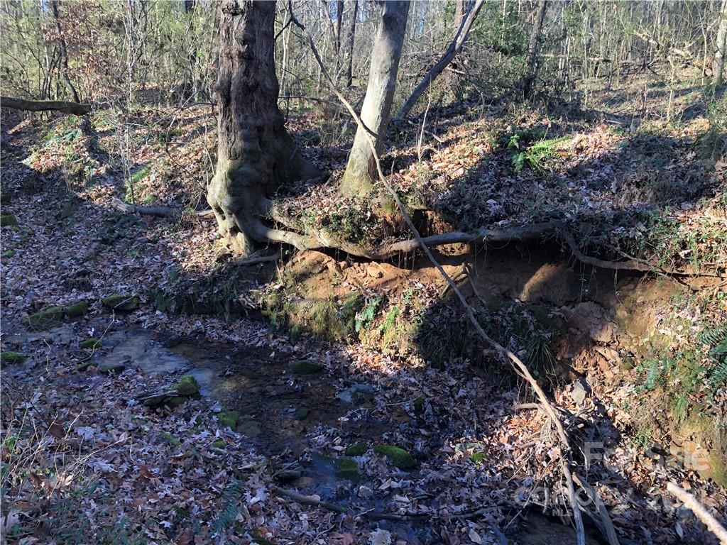 0 Stony Point School Road Stony Point, NC 28678 - Photo 34 of 45 Gallery Image 34