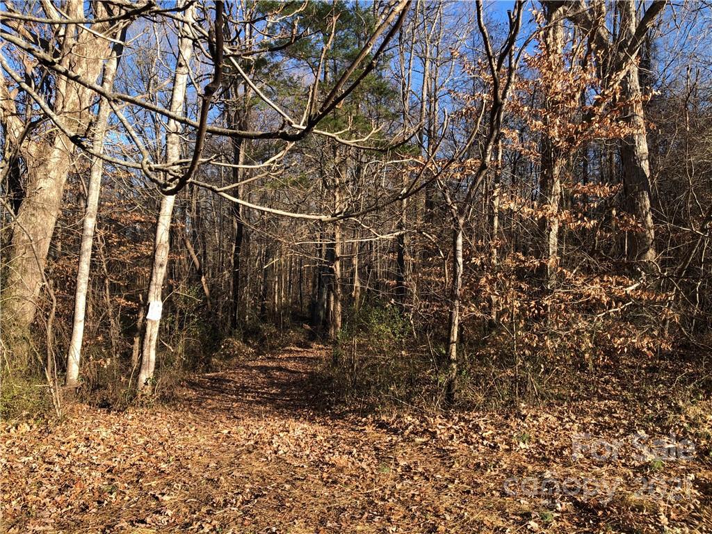 0 Stony Point School Road Stony Point, NC 28678 - Photo 38 of 45 Gallery Image 38