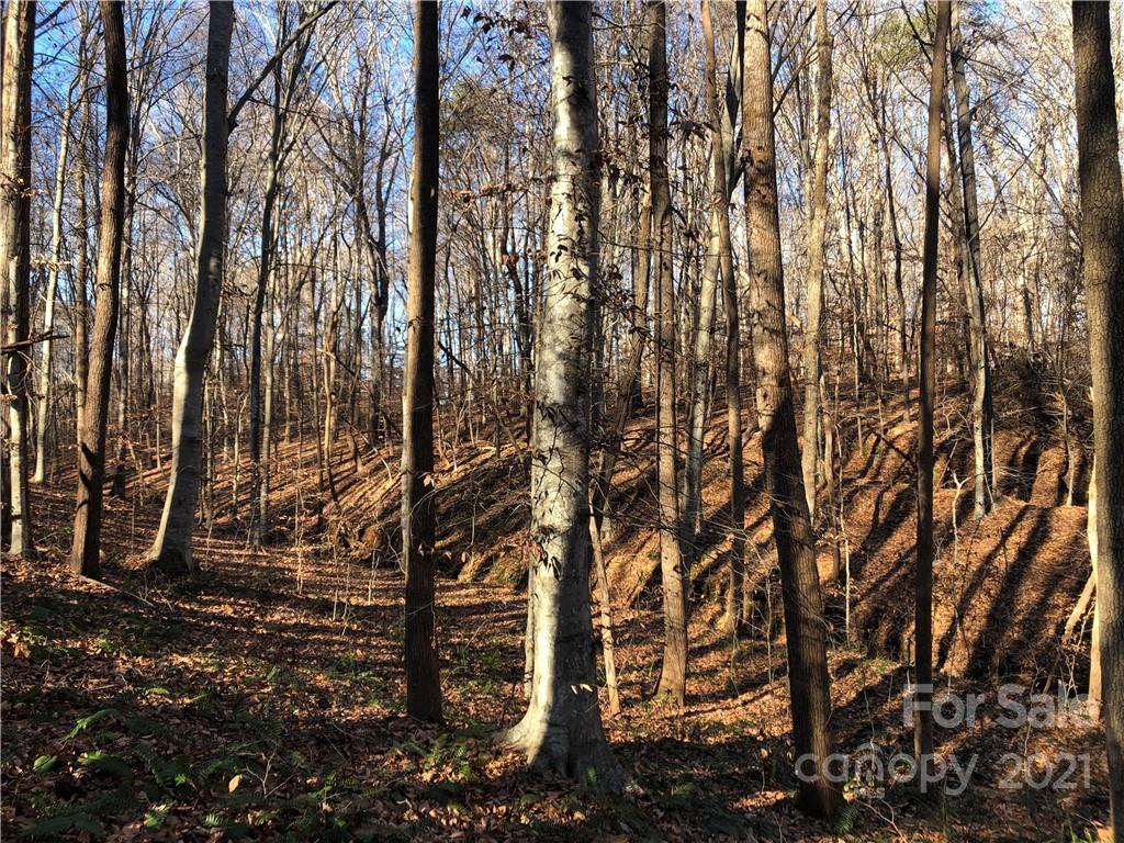 0 Stony Point School Road Stony Point, NC 28678 - Photo 42 of 45 Gallery Image 42
