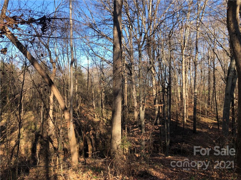 0 Stony Point School Road Stony Point, NC 28678 - Photo 45 of 45 Gallery Image 45