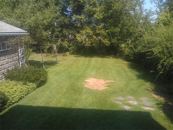 76 Chester Road Belmont, MA 02478 - Photo 9 of 16 Gallery Image 9