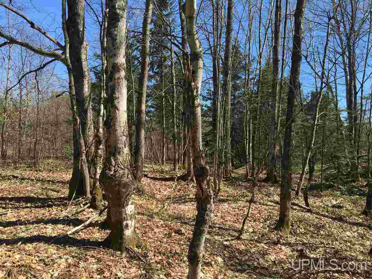 Tbd Chapel Road Munising, MI 49862 - Photo 28 of 36