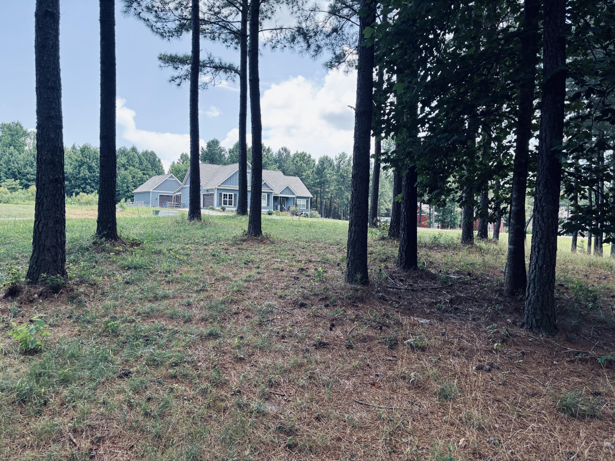 1711 Raulston Fls Road Jasper, TN 37347 - Photo 10 of 40
