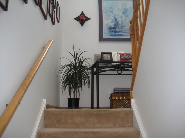 3388 Ravinia Circle Aurora, IL 60504 - Photo 7 of 12