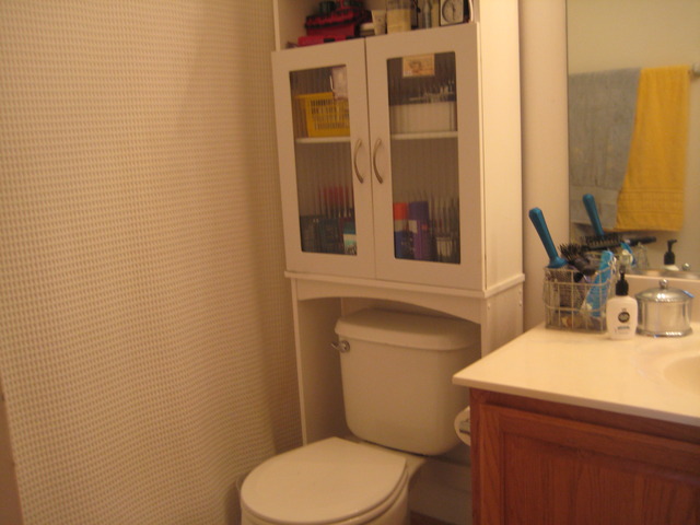 3388 Ravinia Circle Aurora, IL 60504 - Photo 9 of 12