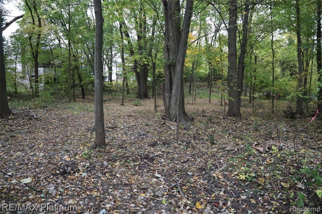 V/l Paramount Street Novi, MI 48377 - Photo 2 of 17 Gallery Image 2