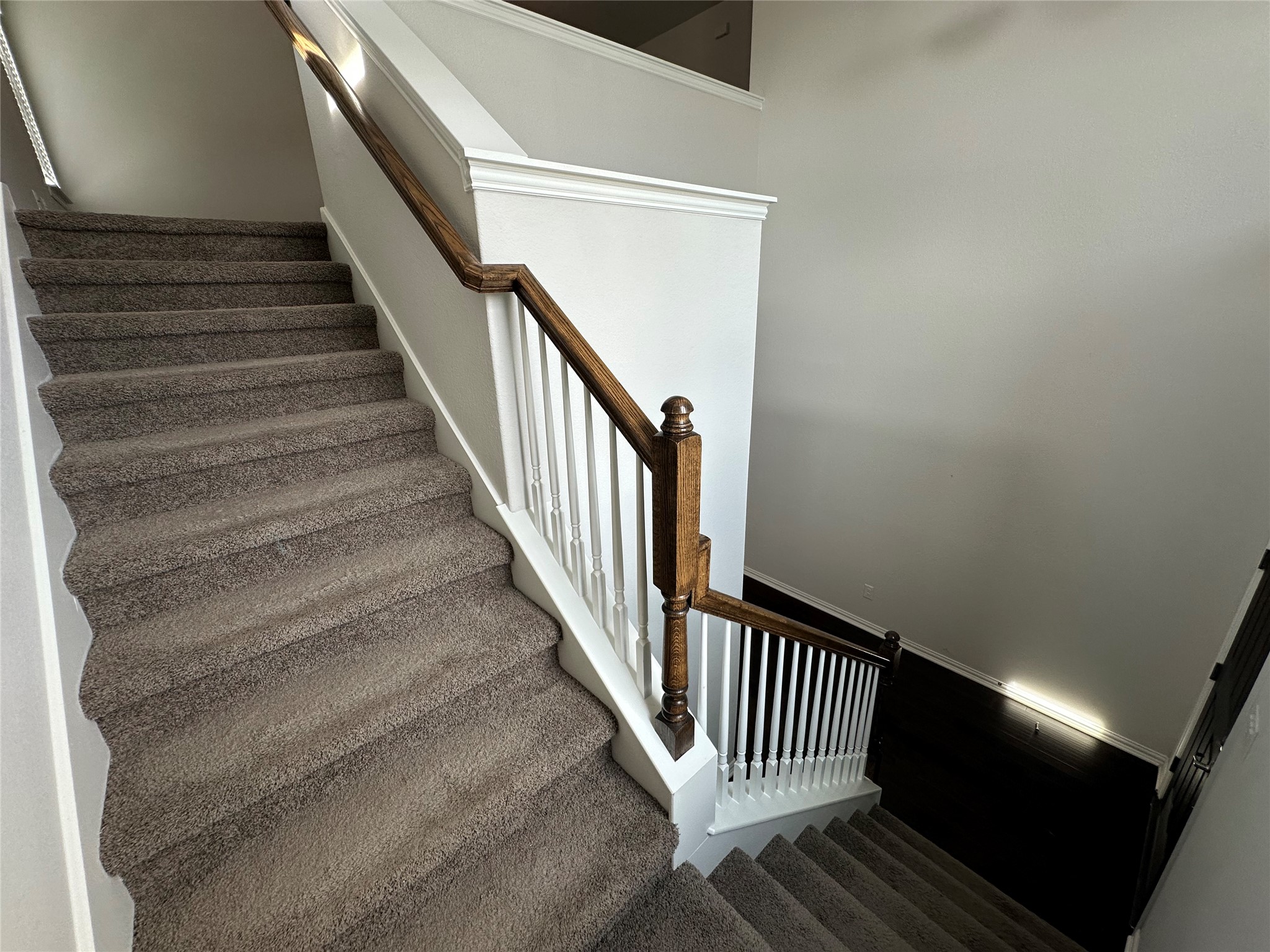 1002 Ridge Runner Drive Georgetown, TX 78628 - Photo 12 of 25 Stairs