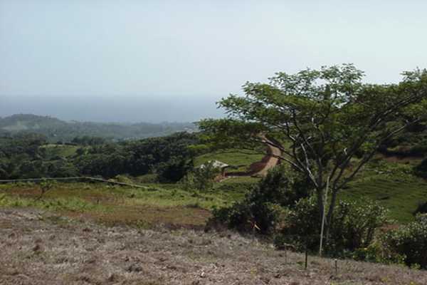 Lot D Puulima Road, Unit D Kalaheo, HI 96741 - Photo 1 of 6 Gallery Image 1