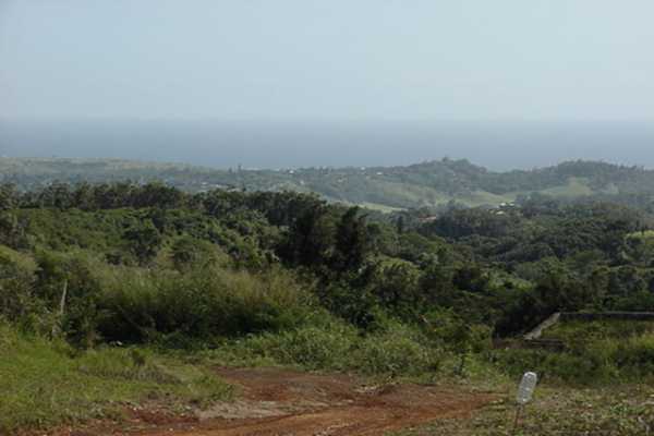 Lot D Puulima Road, Unit D Kalaheo, HI 96741 - Photo 2 of 6 Gallery Image 2