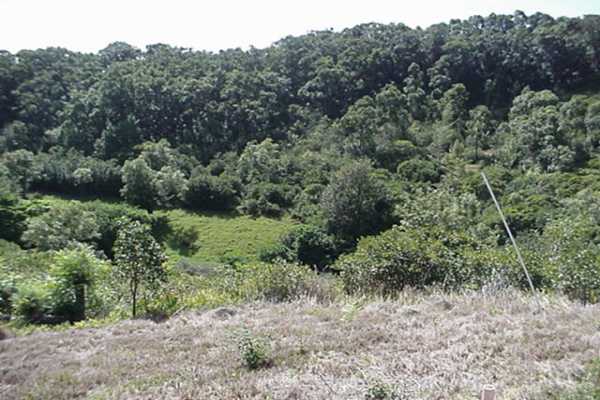 Lot D Puulima Road, Unit D Kalaheo, HI 96741 - Photo 6 of 6 Gallery Image 6