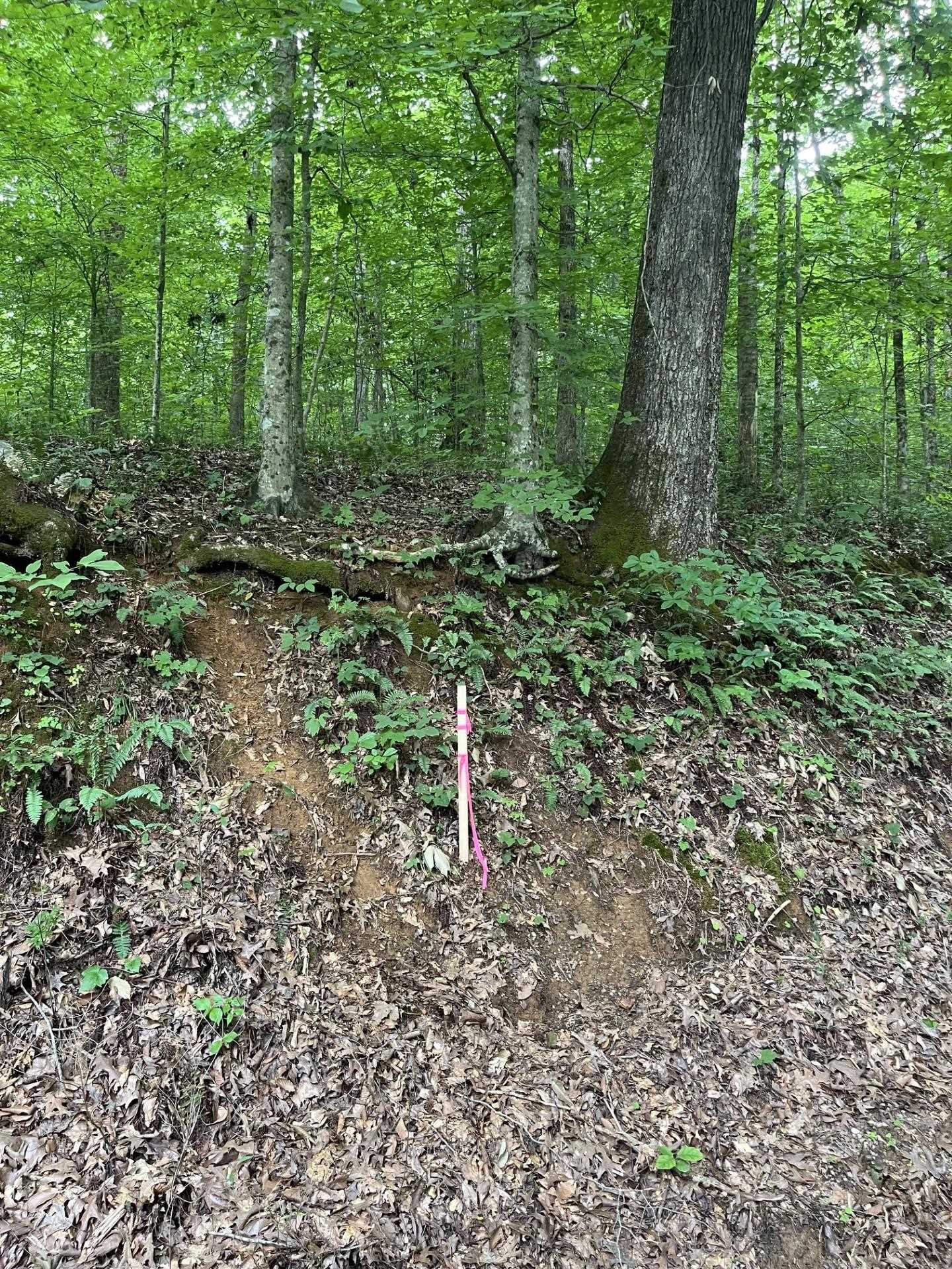 899 East L Smith Road Monroe, TN 38573 - Photo 11 of 18