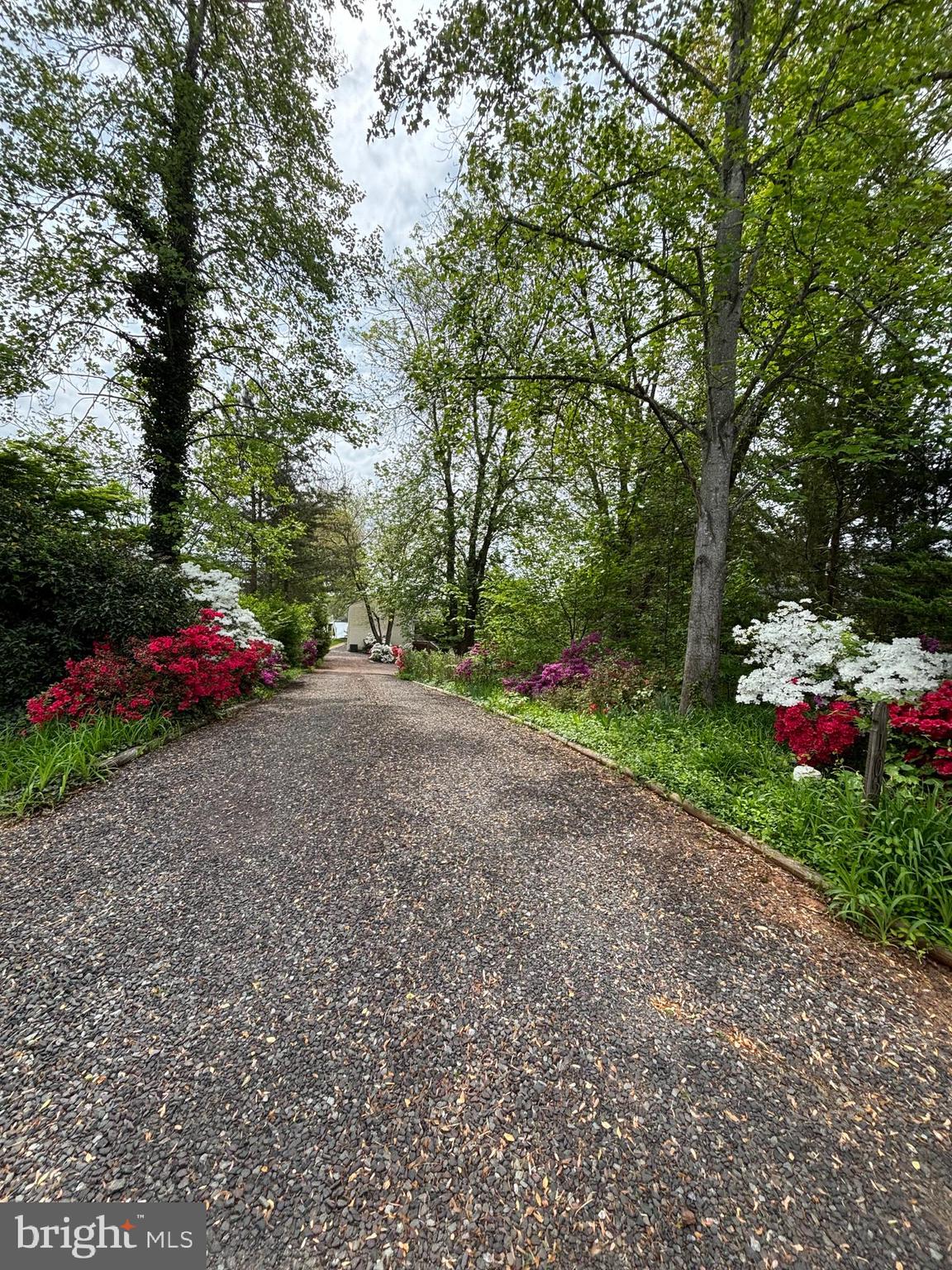 102 Flat Run Locust Grove, VA 22508 - Photo 46 of 60 The private, azalea-lined driveway to the home
