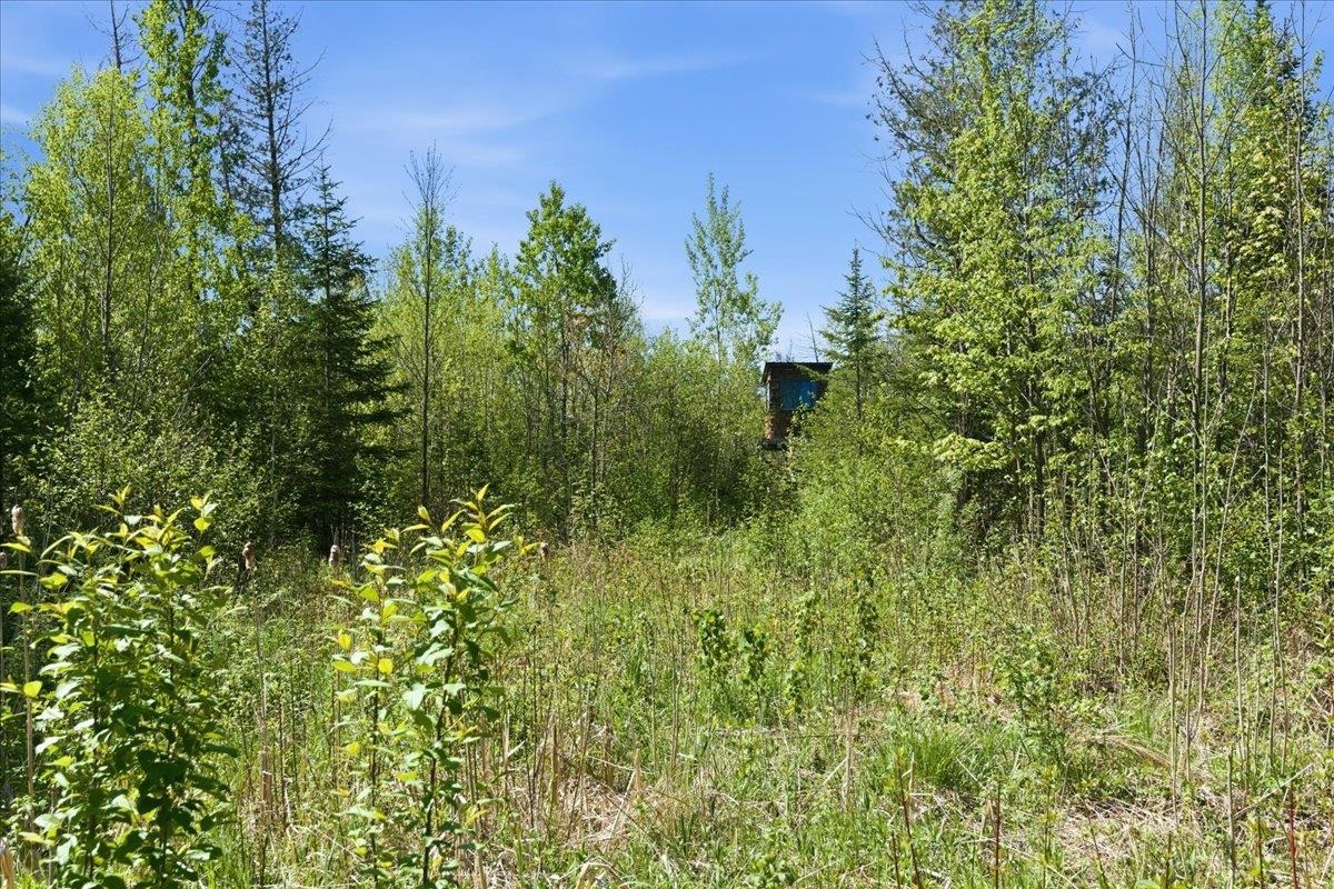 0 County Highway J Deerbrook, WI 54424 - Photo 14 of 78