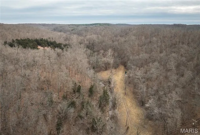 $215,000 | 0 Ore Haul Road, Belleview, MO 63623
