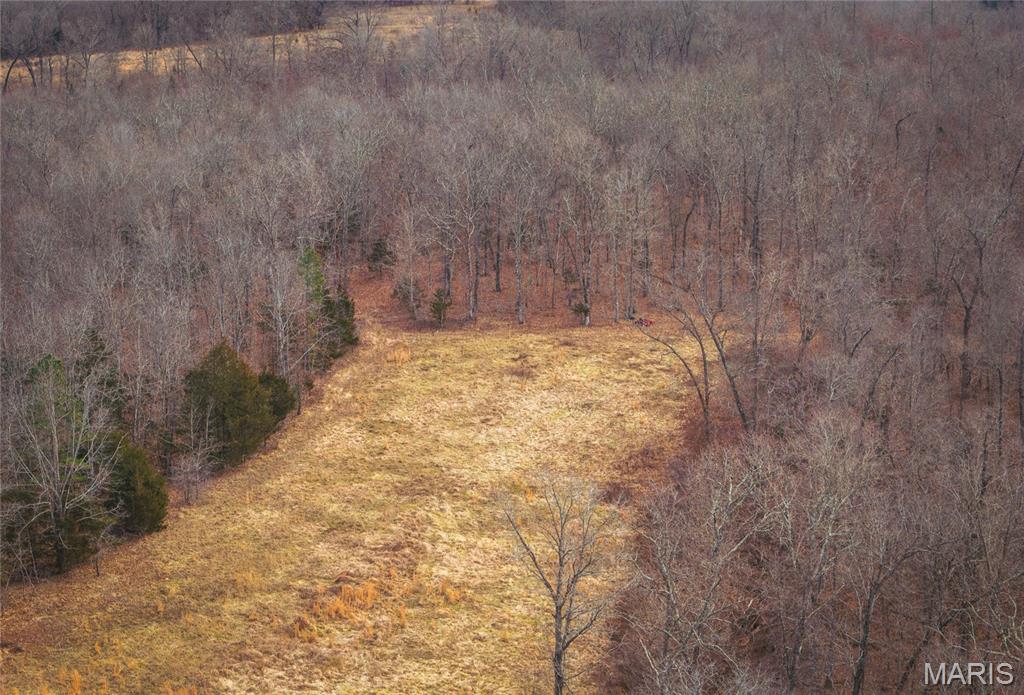 0 Ore Haul Road Belleview, MO 63623 - Photo 11 of 35