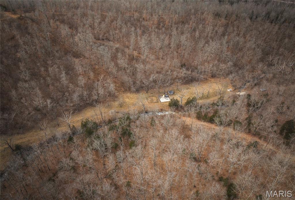 0 Ore Haul Road Belleview, MO 63623 - Photo 12 of 35