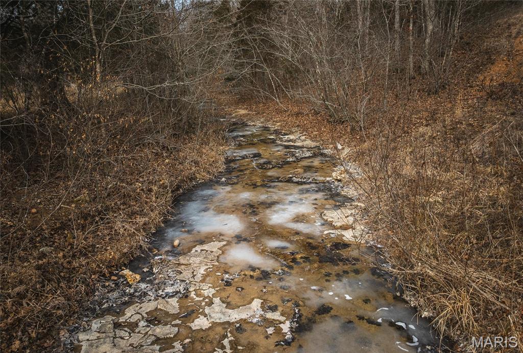 0 Ore Haul Road Belleview, MO 63623 - Photo 13 of 35