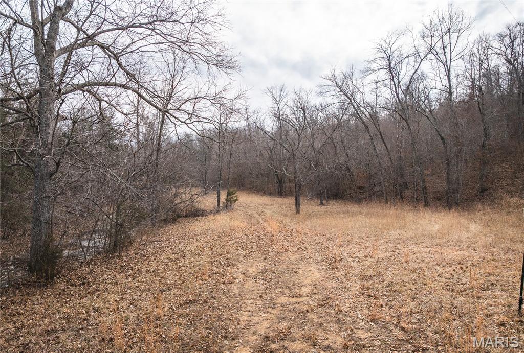 0 Ore Haul Road Belleview, MO 63623 - Photo 16 of 35