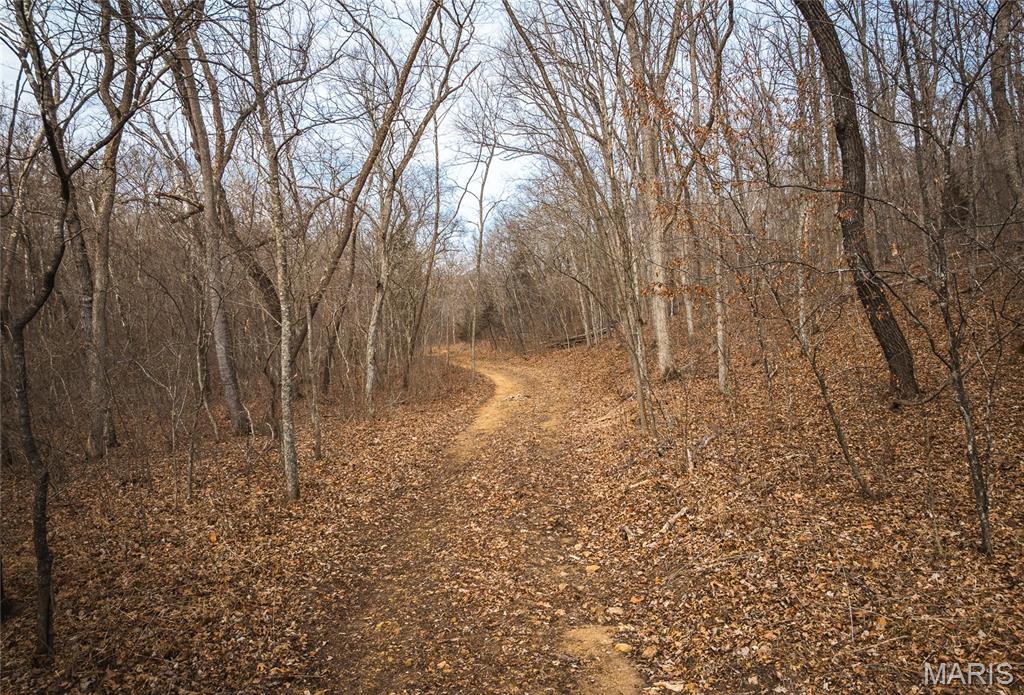0 Ore Haul Road Belleview, MO 63623 - Photo 19 of 35