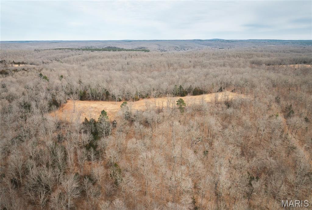 0 Ore Haul Road Belleview, MO 63623 - Photo 20 of 35