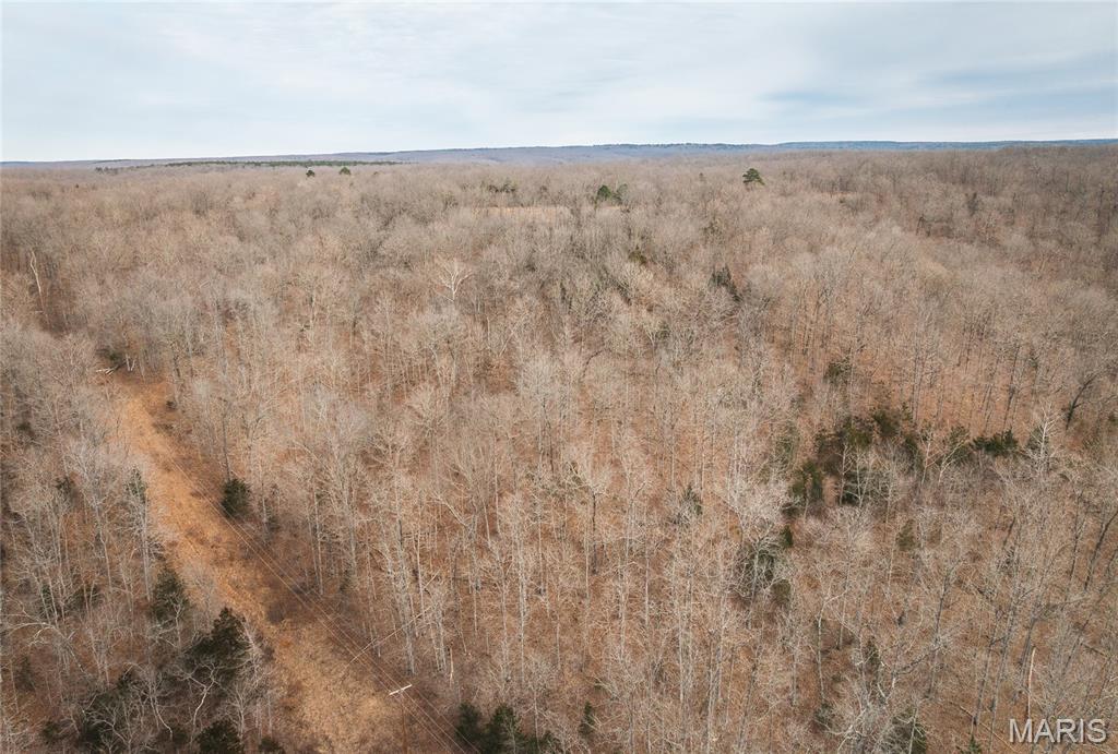 0 Ore Haul Road Belleview, MO 63623 - Photo 2 of 35