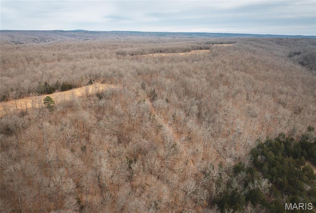 0 Ore Haul Road Belleview, MO 63623 - Photo 21 of 35