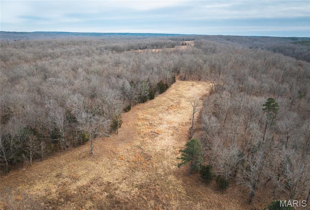 0 Ore Haul Road Belleview, MO 63623 - Photo 22 of 35