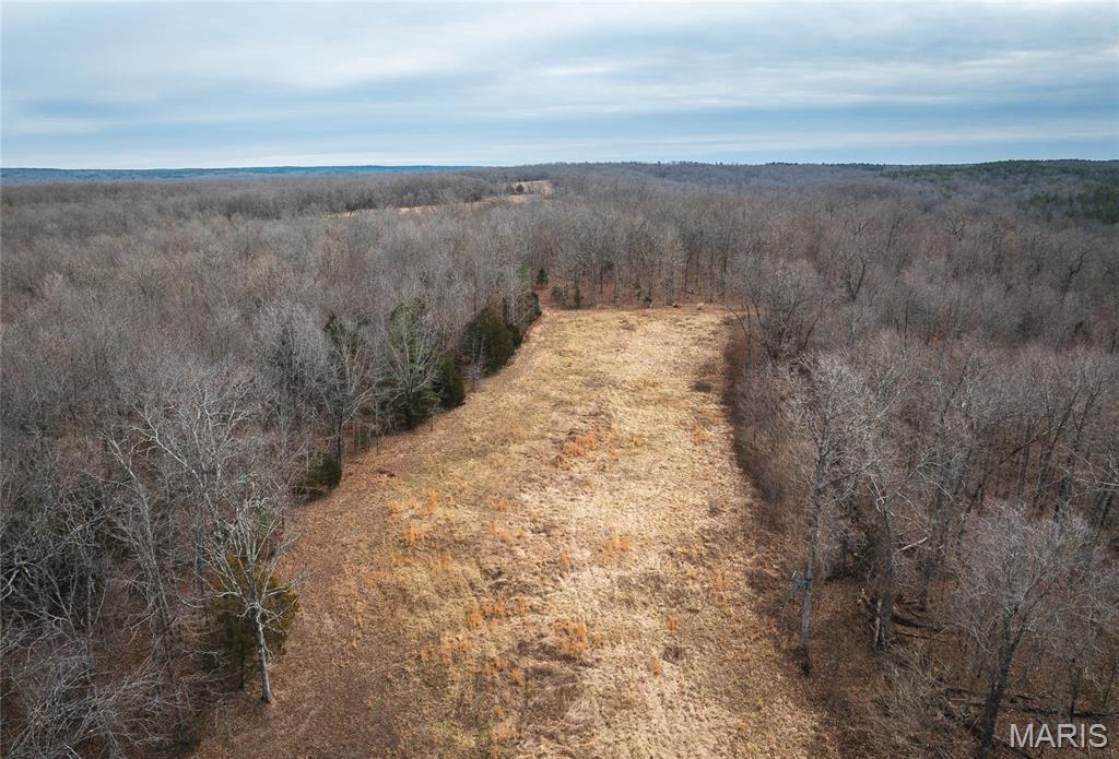 0 Ore Haul Road Belleview, MO 63623 - Photo 23 of 35