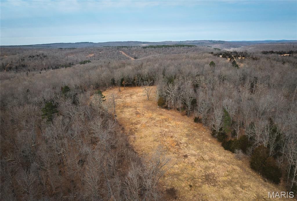 0 Ore Haul Road Belleview, MO 63623 - Photo 24 of 35