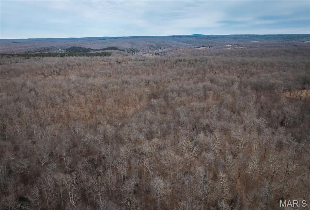 0 Ore Haul Road Belleview, MO 63623 - Photo 26 of 35
