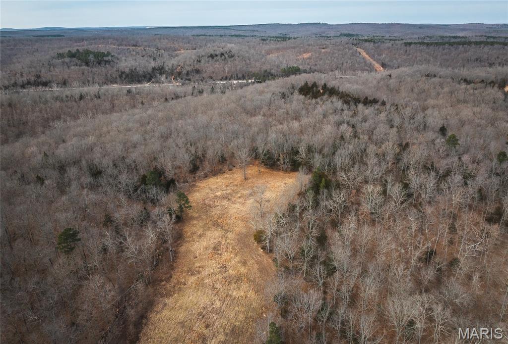 0 Ore Haul Road Belleview, MO 63623 - Photo 27 of 35