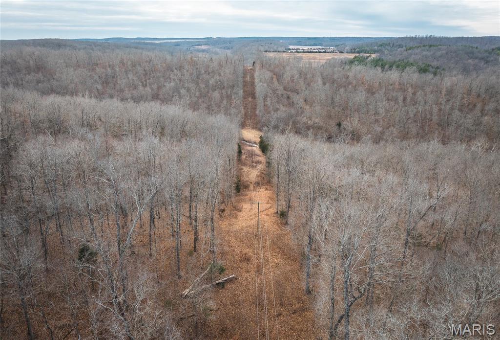 0 Ore Haul Road Belleview, MO 63623 - Photo 29 of 35