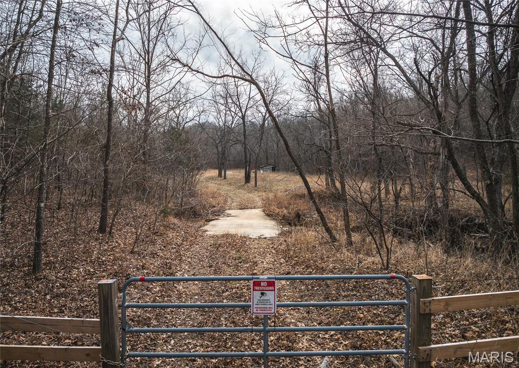 0 Ore Haul Road Belleview, MO 63623 - Photo 3 of 35