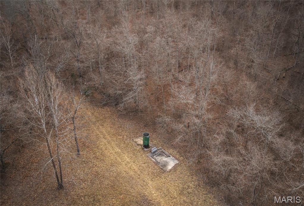 0 Ore Haul Road Belleview, MO 63623 - Photo 31 of 35