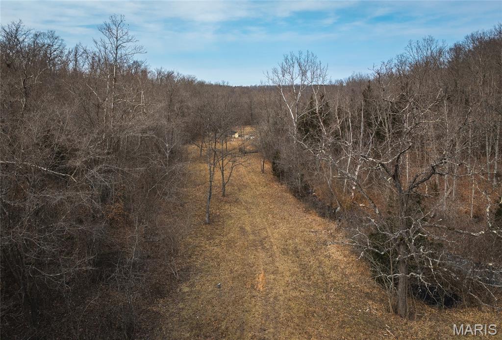 0 Ore Haul Road Belleview, MO 63623 - Photo 32 of 35