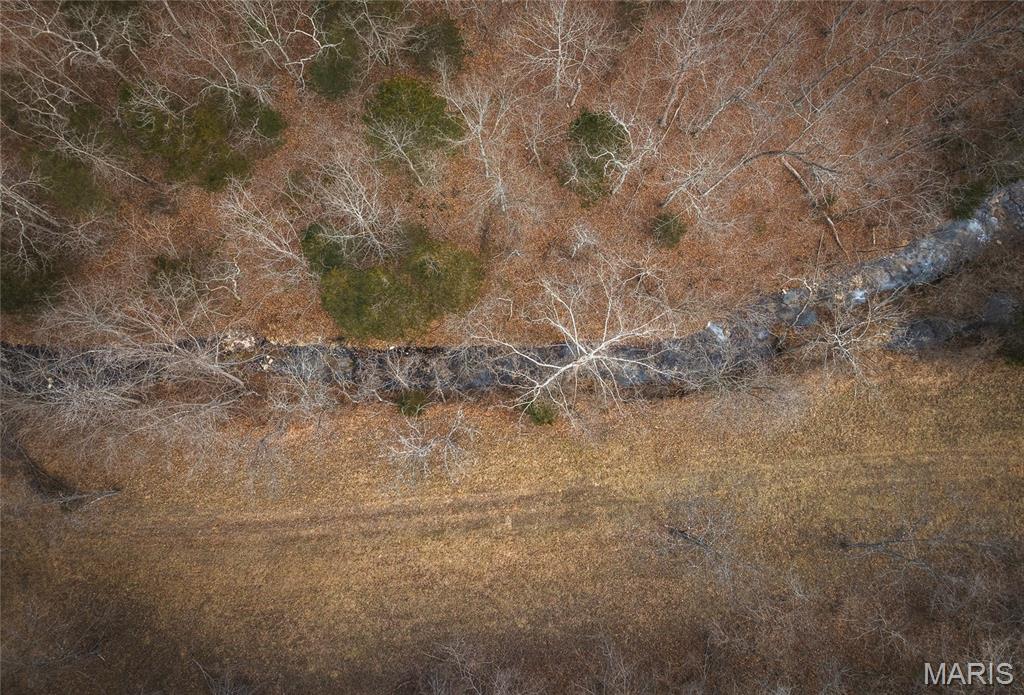 0 Ore Haul Road Belleview, MO 63623 - Photo 33 of 35