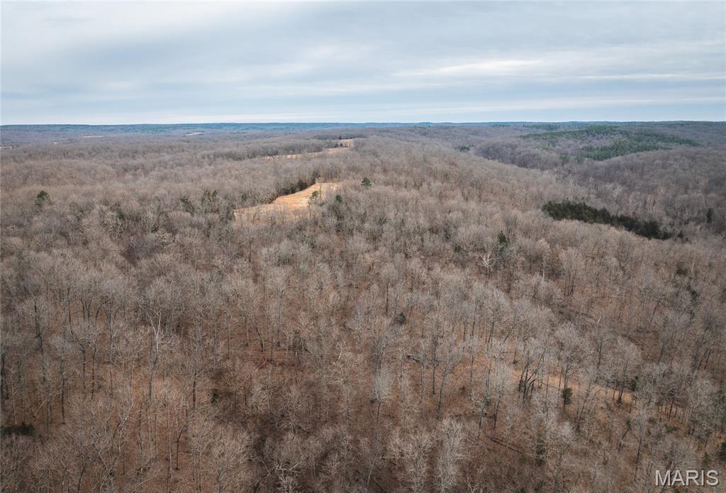 0 Ore Haul Road Belleview, MO 63623 - Photo 34 of 35