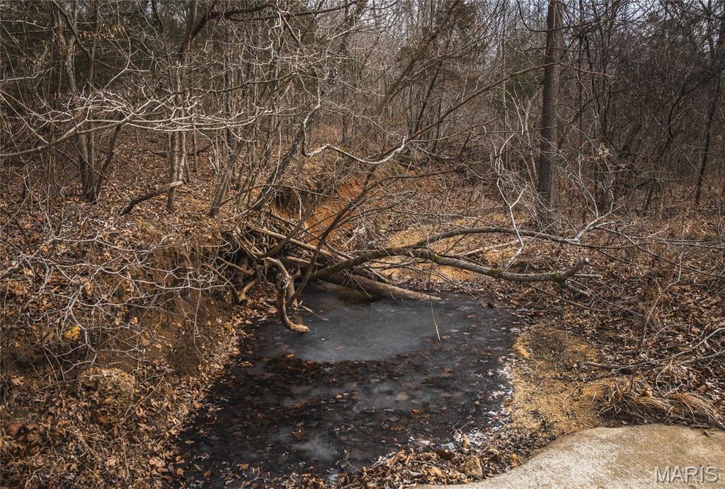 0 Ore Haul Road Belleview, MO 63623 - Photo 5 of 35