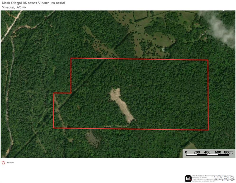 0 Ore Haul Road Belleview, MO 63623 - Photo 6 of 35